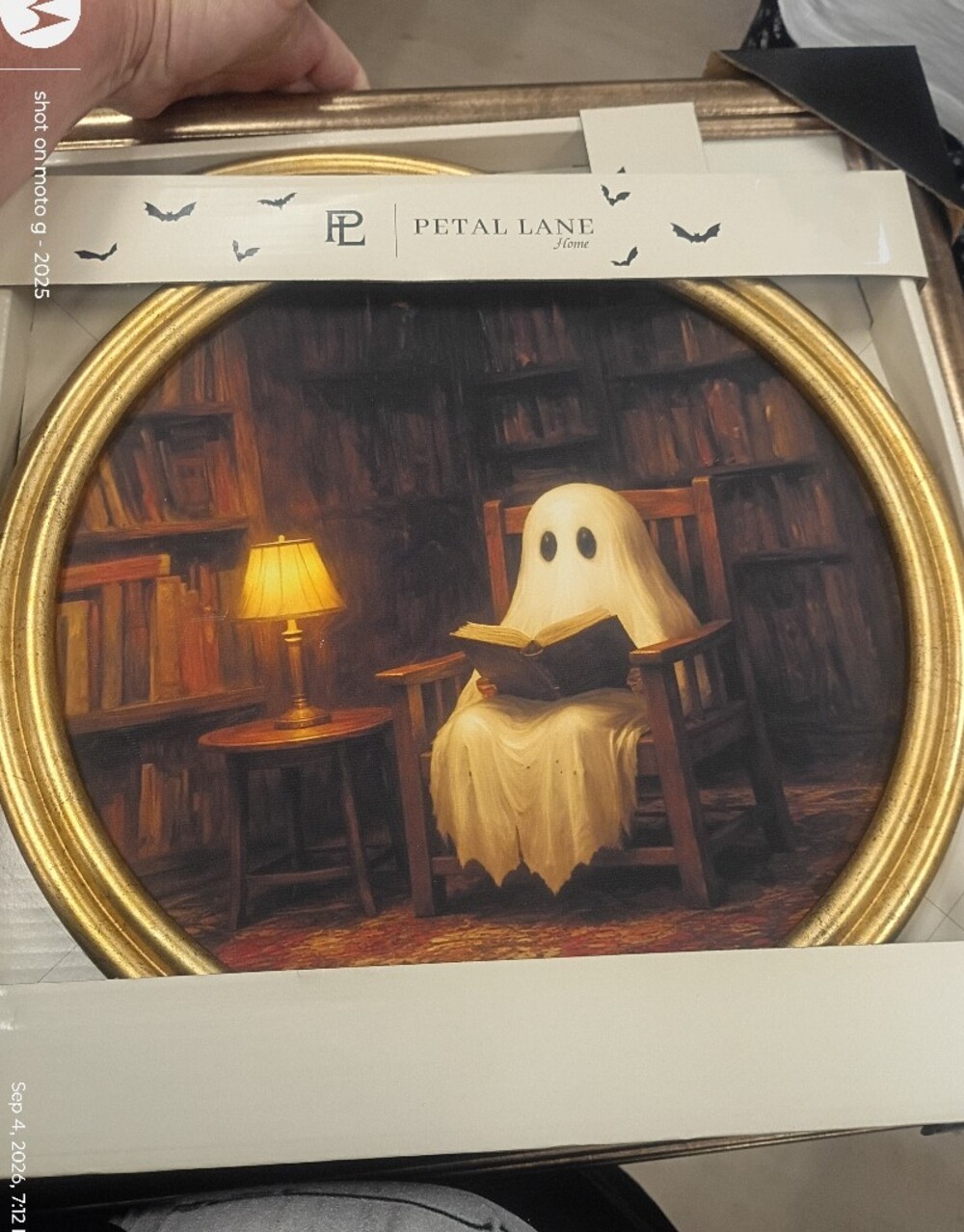 Halloween Petal Lane Vintage Framed Ghost Wall Art 12 X 12